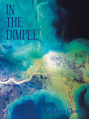 cover image of In the Dimple